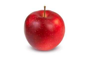 Red apple on an isolated white background. one apple