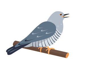 Singing Cuckoo bird sitting on brunch isolated on white background. Cucoos icon Vector flat or cartoon illustration for nature and ornitology design.