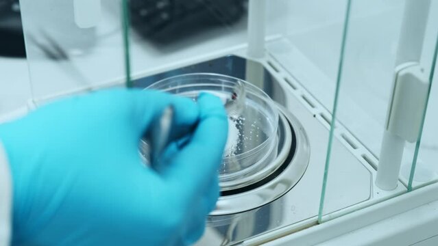 Scientist or chemist weighs samples or white powder using digital analytical scales or balances. Preparation of standard solution for pharmaceutical or clinical analysis.