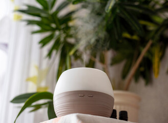 a working vapor-emitting aroma diffuser on a background of plants