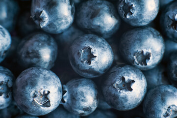 Ripe texture blueberries close-up.. Summertime...