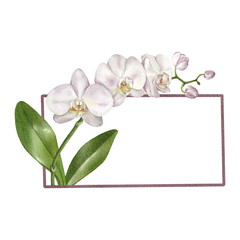 Elegant rectangular frame with an orchid. Isolated on white - 487428846