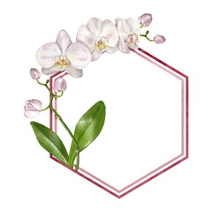 Elegant frame with an orchid in the shape of a hexagon. Isolated on white - 487429014