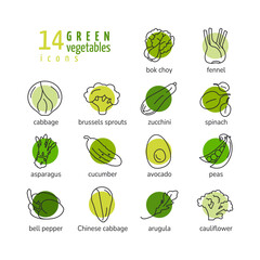 Green vegetables line icons set with cabbage zucchini spinach asparagus cucumber avocado peas arugula bock choy fennel brussels sprouts cauliflower healthy food isolated vector illustration