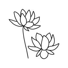 Vector lotus flowers in doodle style. Drawn with an outline on a white background