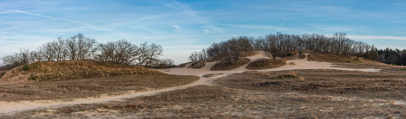 Fototapeta na wymiar Landscape of dutch national park Loonse en Drunense Duinen, Panoramatic view of small hills with trees and walkways in the sand