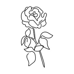 Rose one line art. Flower vector icon. graphic design template illustration isolated