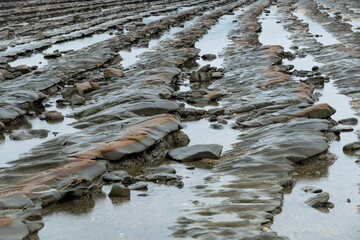 basalt rock rows along the shore