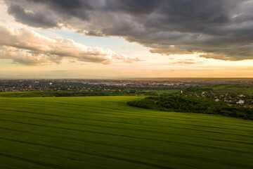 Aerial landscape view of green cultivated agricultural fields with growing crops on bright summer evening