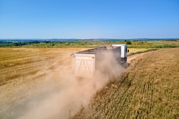 Aerial view of lorry cargo truck driving on dirt road between agricultural wheat fields....