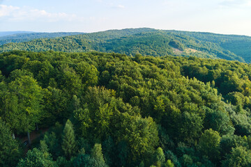 Fototapeta premium Aerial view of mountain hills covered with dense green lush woods on bright summer day
