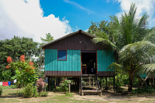 Amazon forest village, Colombia, 11.2019. A typical wooden house painted blue and black on Amazon Forest, local little village. Wooden local forest house with little stairs and beautiful garden.