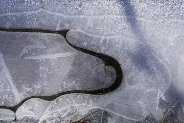Unusual structure of the surface of a frozen puddle on a sunny morning.