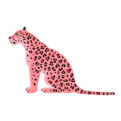 Vector flat sitting pink leopard isolated on white background