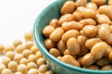 Fresh natto on monochrome background
