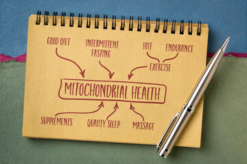 mitochondrial health concept - text and sketch in a notebook, healthy lifestyle and aging - obrazy, fototapety, plakaty
