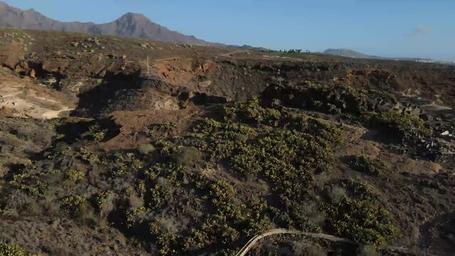 Dron shot Espania Spain Tenerife open shot sun afternoon sky buildings smog water lake paning left covid trees tree front green bus back cars rush hour road covid empty sun vol.8.mp4