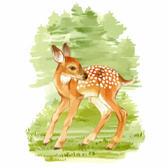 Watercolor vector of fawn on the forest background.