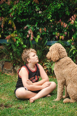 Pre-teen boy sitting on grass playing with large golden doodle dog