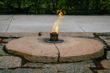 burning candle in a garden - obrazy, fototapety, plakaty