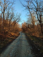 road in autumn