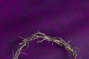 Partial crown of thorns as a border on a dark purple background with copy space