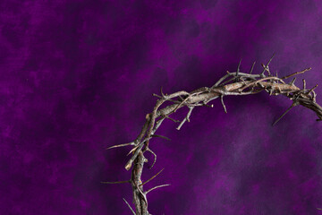 Partial crown of thorns on a dark purple background