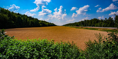 Landscape with the image of a field