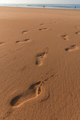 Fototapeta na wymiar Footprints in the sand on the beach at sunrise, Barbate, Cadiz, Andalusia, Spain