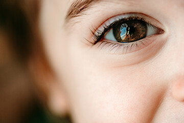 A close up of a toddler's bright brown eye