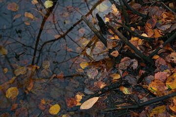 _DSC20211021F10