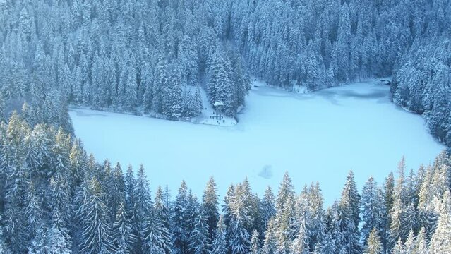 Mountain Lake "Synevir" Carpathian mountains. Aerial. Ukraine. Winter. Snow