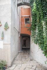 Fototapeta na wymiar Bari Vecchia, vicolo con arco Corte S. Triggiano, con foglie cactus appesi e fichi d'india, Bari, Puglia, Italia