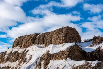 Fotobehang snow covered hay bles © Layn