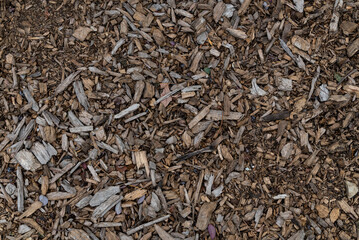 Wood chips background on the ground.