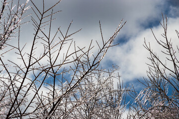 Clear sky after a freezing rain