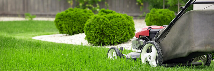 Lawn mower cutting green grass in backyard, mowing lawn