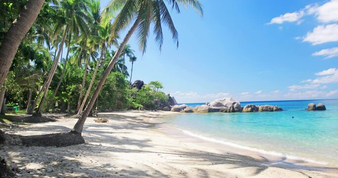 beach and coconut palm trees. Koh Tao, Thailand
