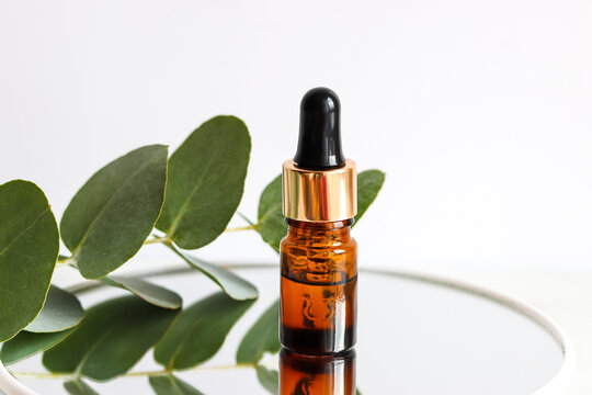 Bottle of cosmetic essential oil with dropper and eucalyptus leaf close-up. Serum skin care products. Beauty concept
