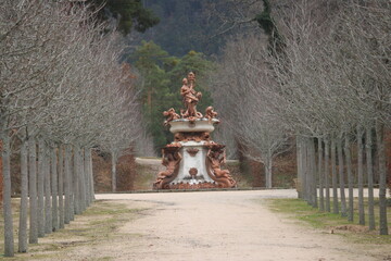 Fototapete bei efototapeten.de bestellen   