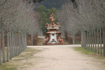 Fototapete bei efototapeten.de bestellen   