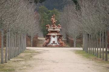 Fototapete bei efototapeten.de bestellen   