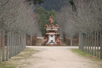 Fototapete bei efototapeten.de bestellen   