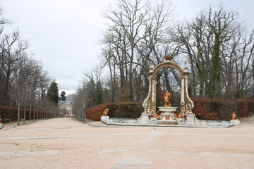 Fototapete bei efototapeten.de bestellen   