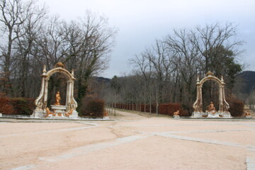 Fototapete bei efototapeten.de bestellen   