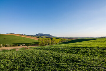 field and blue sky, spring, Turiec, Slovakia, Europa