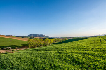Fototapeta na wymiar landscape with field and sky, spring, Turiec, Slovakia, Europa