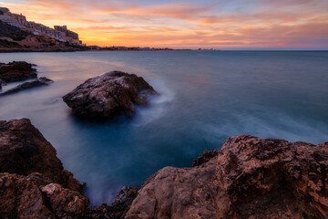 paisaje de playa rocosa y prados de flores