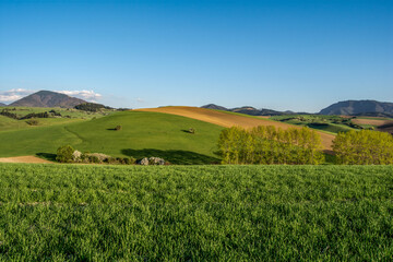 Fototapeta na wymiar landscape with green grass and sky, spring, Turiec, Slovakia, Europa
