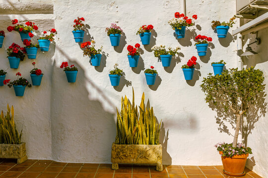 fragment of white wall and blue flower pots